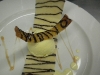 Zebra chocolate drizzeled coulis with vanilla ice cream